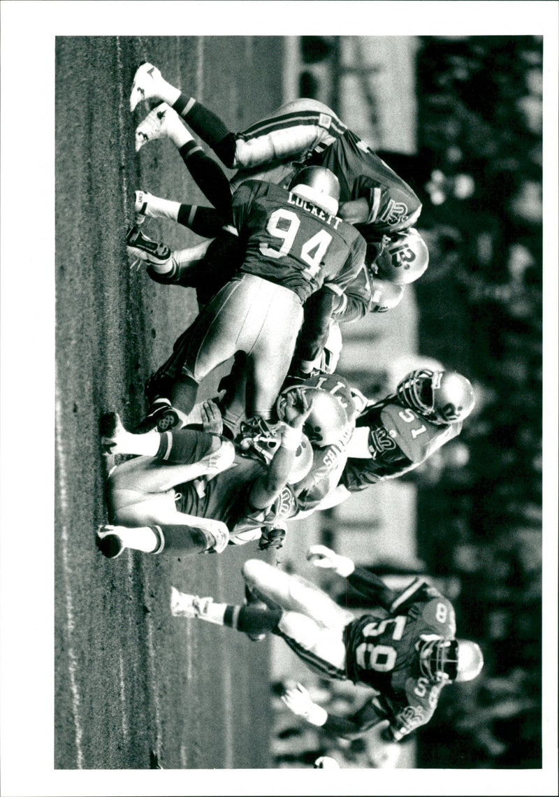 Theo P. Adams in American Football - Vintage Photograph