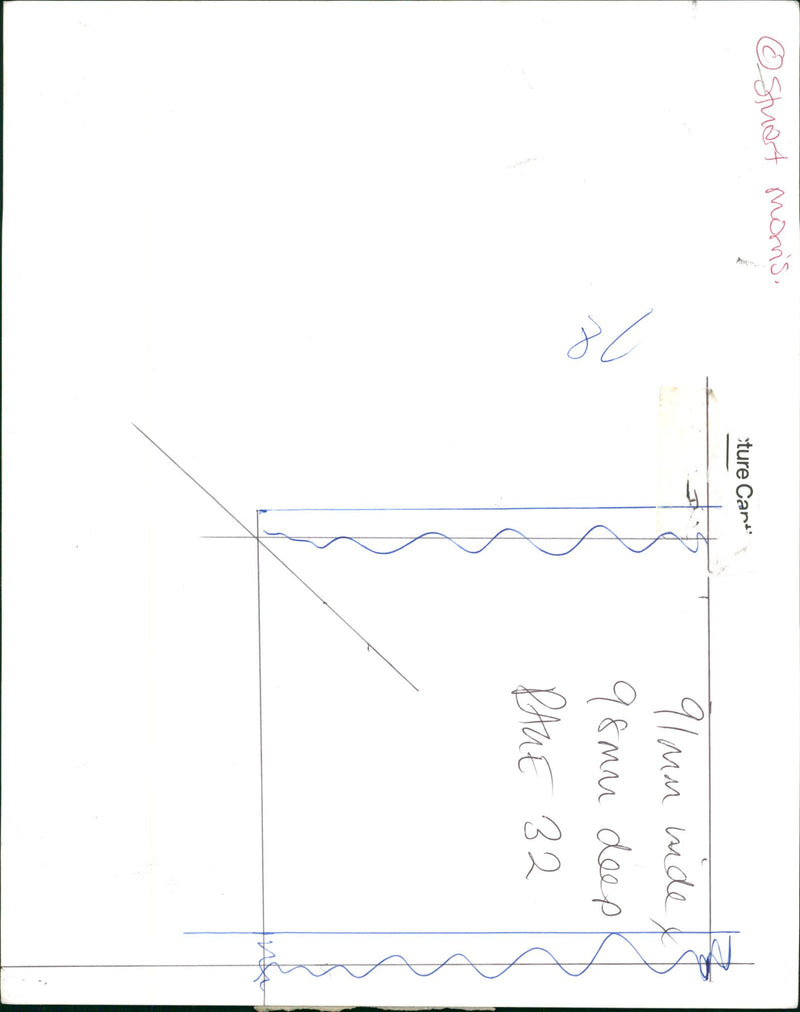 Stevie Wonder - Vintage Photograph