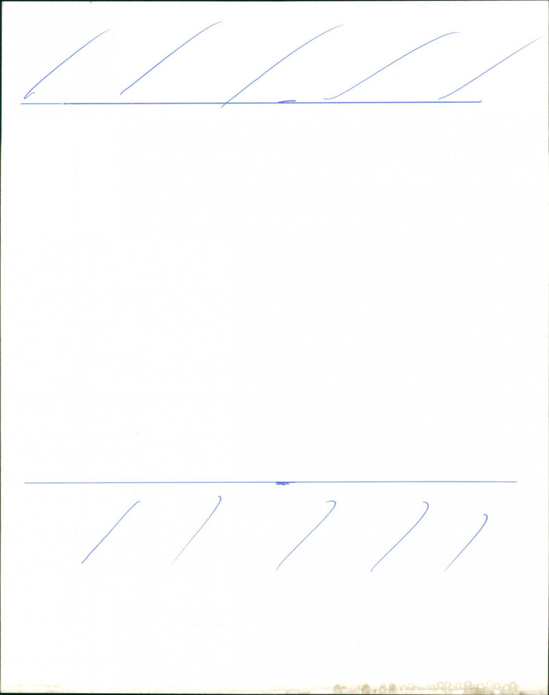 Stevie Wonder - Vintage Photograph