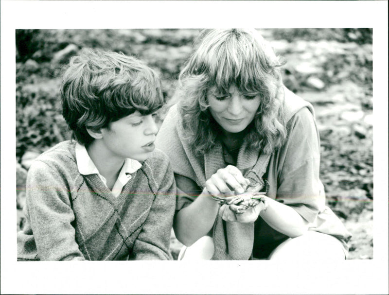 Nature in focus - Vintage Photograph