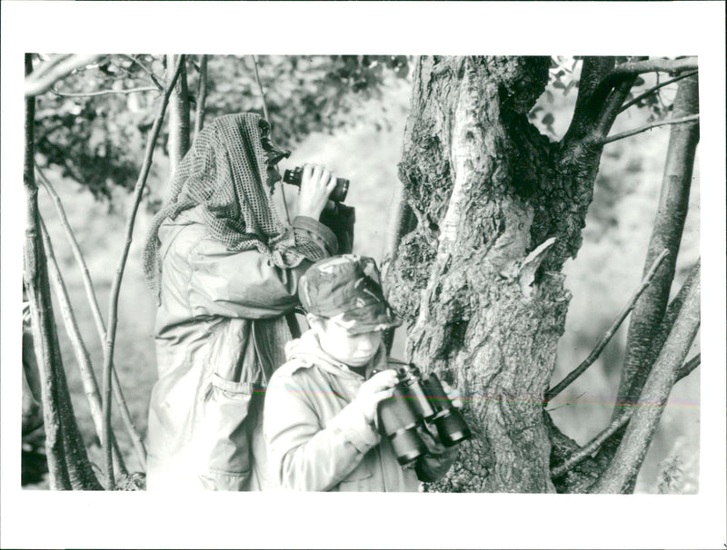 Nature in focus - Vintage Photograph