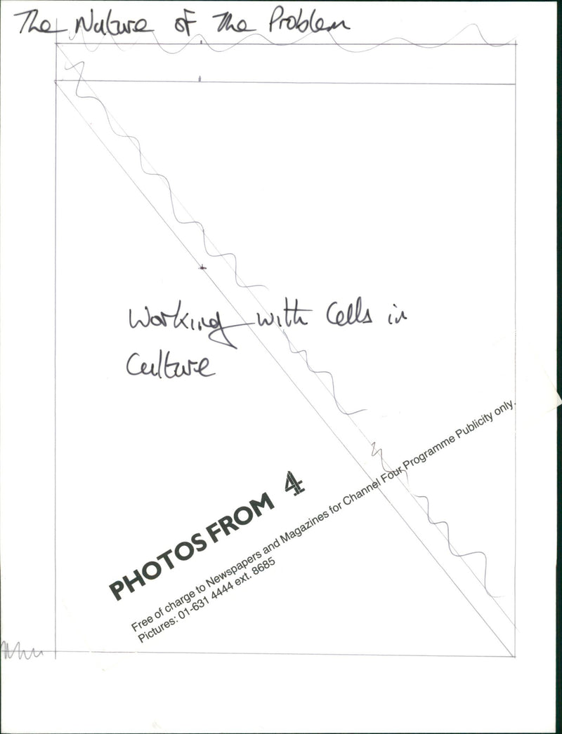 The nature of the Problem - Vintage Photograph