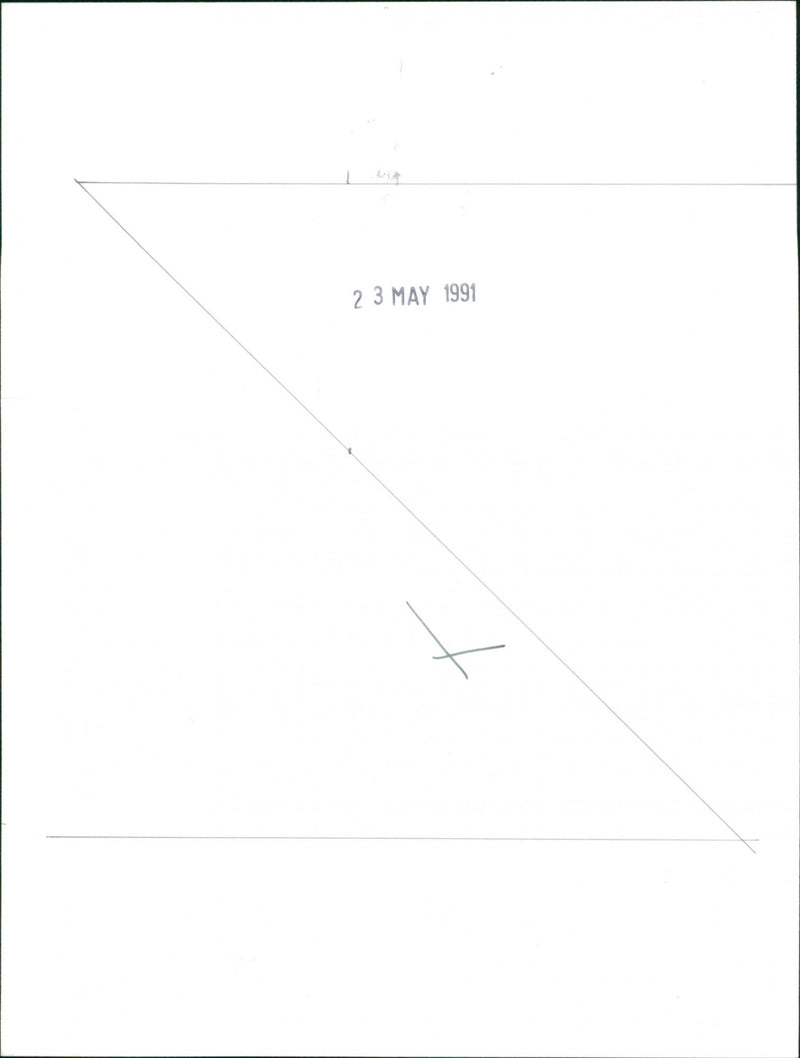 The Nature of the Beast - Vintage Photograph