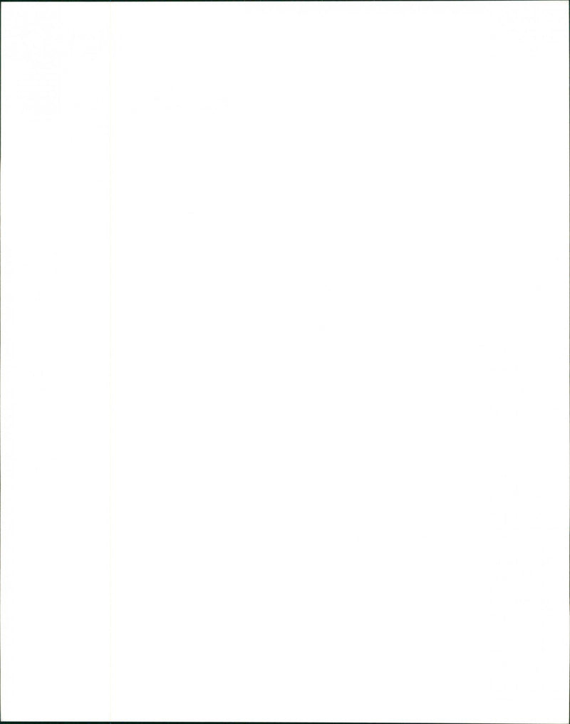 Cher as Mrs Flax in film 'Mermaids' - Vintage Photograph