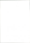 Cattle Thumbria - Vintage Photograph