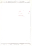 Cattle - Vintage Photograph