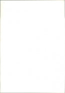 Cattle - Vintage Photograph