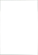 Cattle - Vintage Photograph