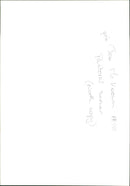 Cattle - Vintage Photograph