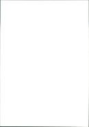 Cattle - Vintage Photograph