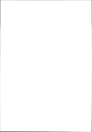 Cattle - Vintage Photograph