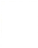 Cattle - Vintage Photograph