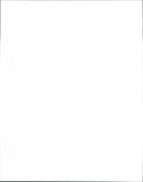 Cattle - Vintage Photograph