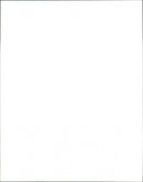 Cattle - Vintage Photograph