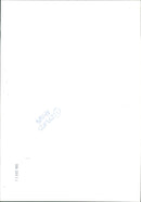 Cattle - Vintage Photograph