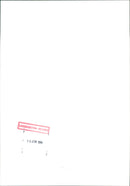 Cattle - Vintage Photograph