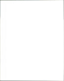 Cattle - Vintage Photograph