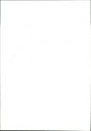 Cat. - Vintage Photograph