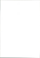 Cat. - Vintage Photograph