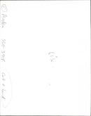 Cat. - Vintage Photograph