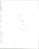 Cat. - Vintage Photograph