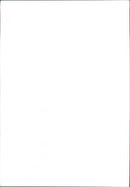 Cattle, Cows - Vintage Photograph