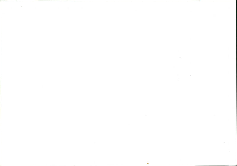 1990 WRITER - Vintage Photograph