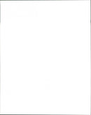 Jules Verne - Vintage Photograph