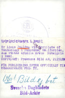 Linus Pauling, Nobel Prize in Chemistry 1954 USA - Vintage Photograph