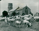 Haddiscoe Church - Vintage Photograph