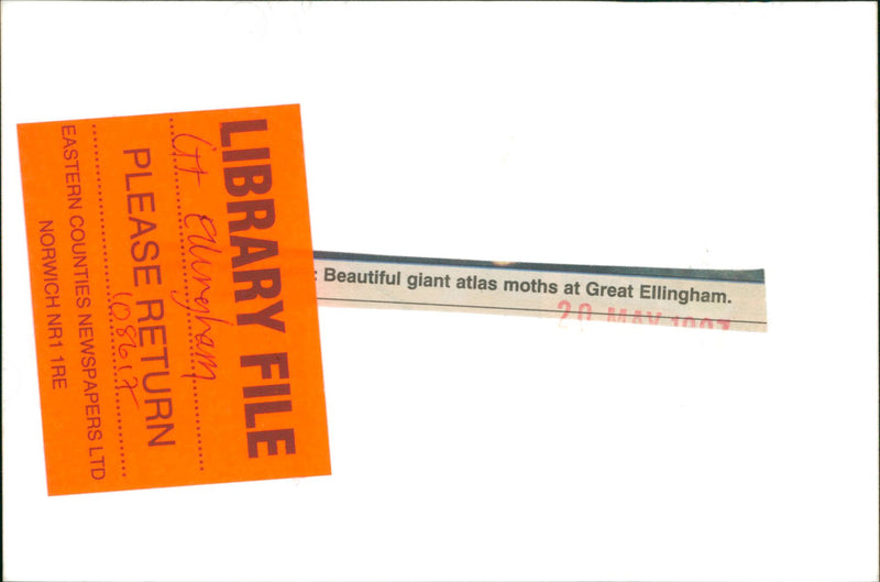 Great Ellingham - Vintage Photograph