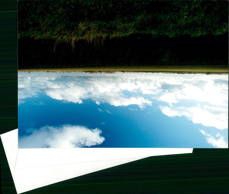 Fenland Landscape - Vintage Photograph