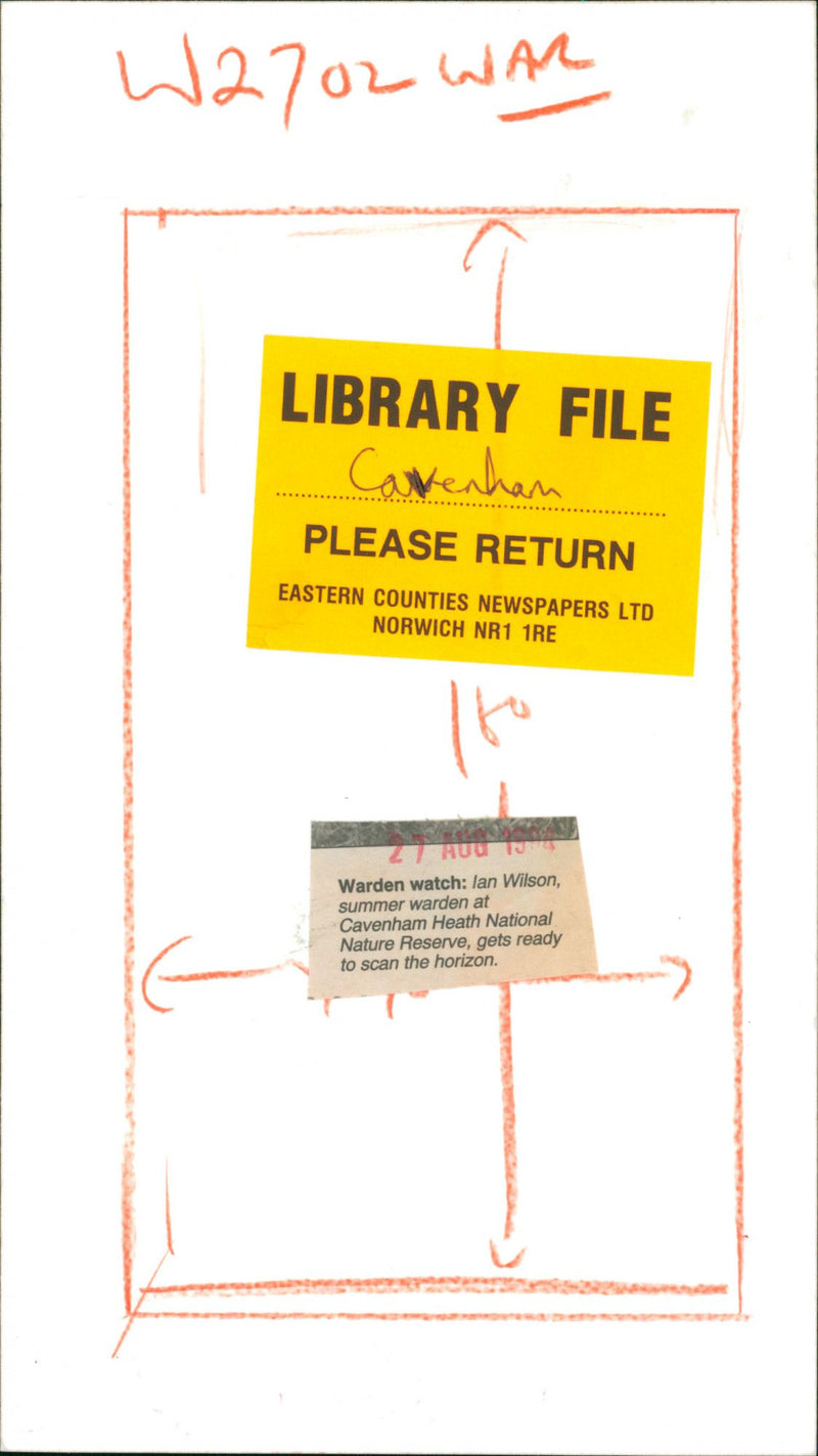 lan Wilson,summer warden at Cavenham Heath NationalNature Reserve - Vintage Photograph