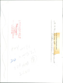 View of animals in the field. - Vintage Photograph