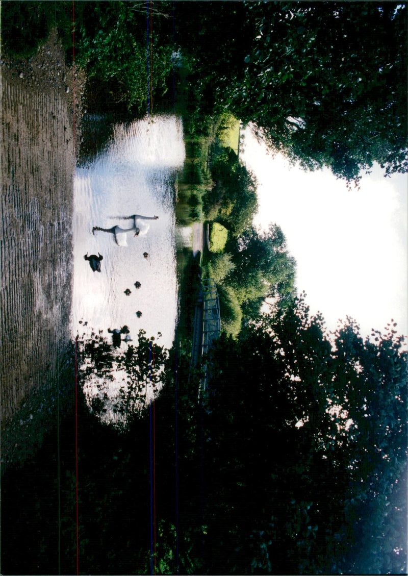 View of lake. - Vintage Photograph