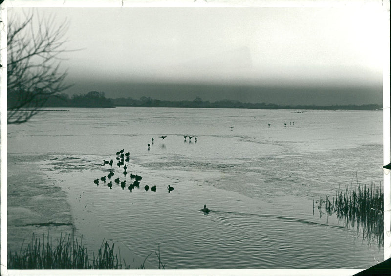 Filby Broad - Vintage Photograph