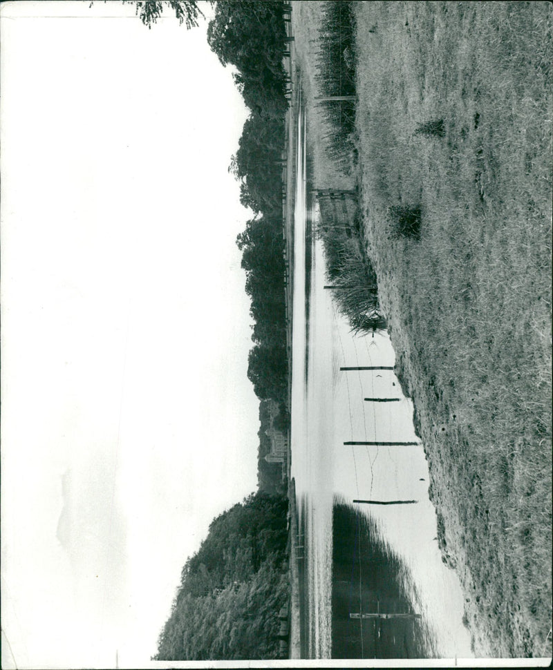 View of lake. - Vintage Photograph