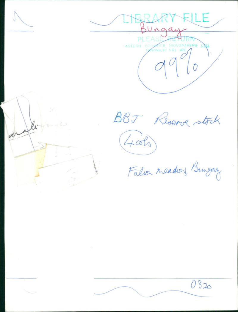 Bungay Falion meadow - Vintage Photograph