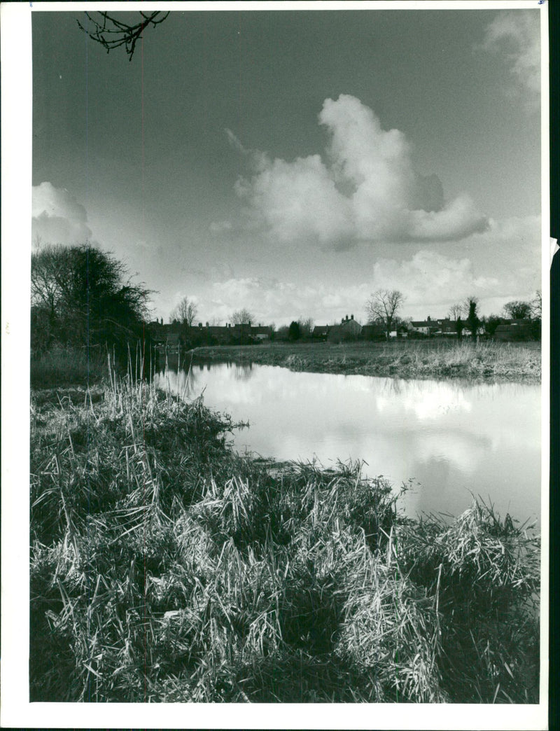 Bungay Falion meadow - Vintage Photograph