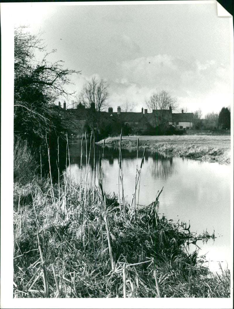 Falion Meadow Bungay - Vintage Photograph