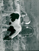 View of animals in Runton. - Vintage Photograph