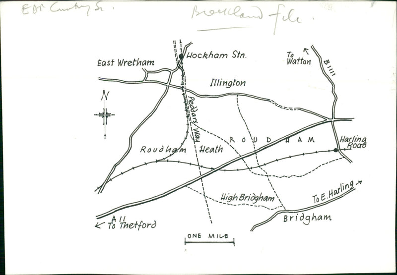 Bridgham's view of nature - Vintage Photograph