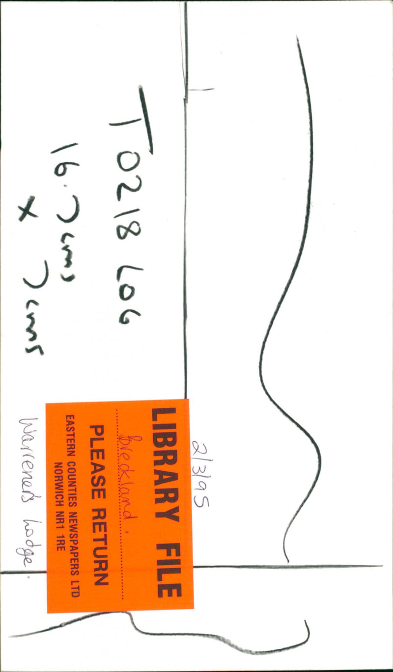 Bridgham's view of nature - Vintage Photograph