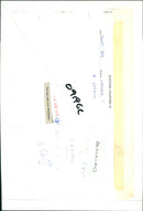 Bridgham's view of nature - Vintage Photograph