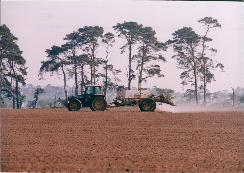 Bridgham's view of nature - Vintage Photograph