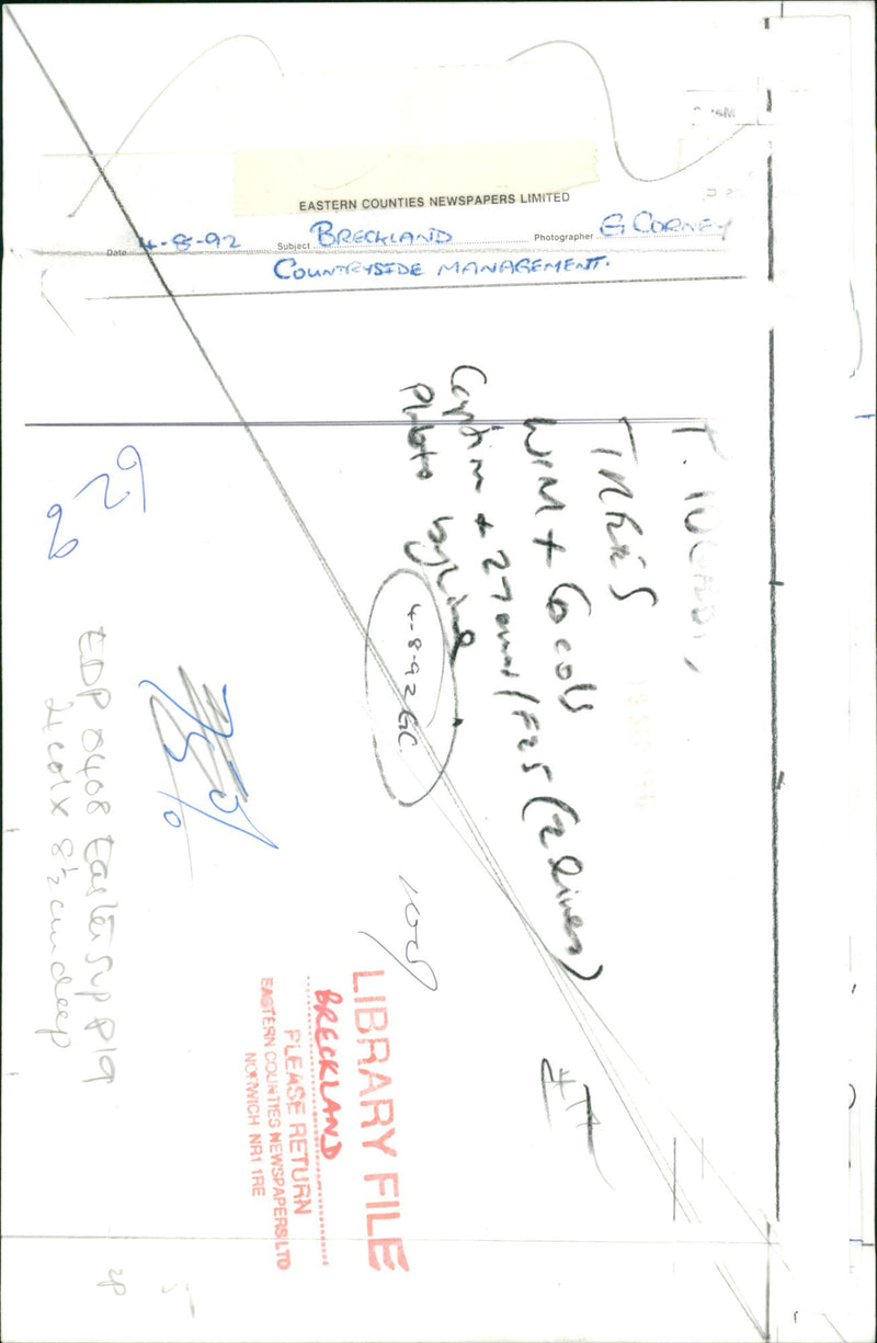 Bridgham's view of nature - Vintage Photograph