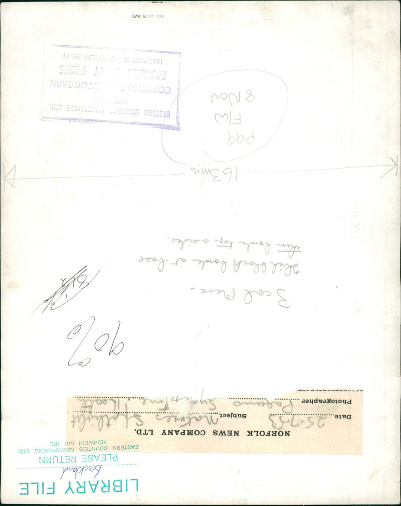 Bridgham's view of nature - Vintage Photograph