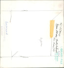 Bridgham's view of nature - Vintage Photograph