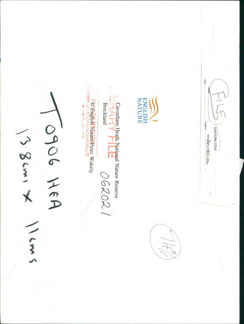 Bridgham's view of nature - Vintage Photograph