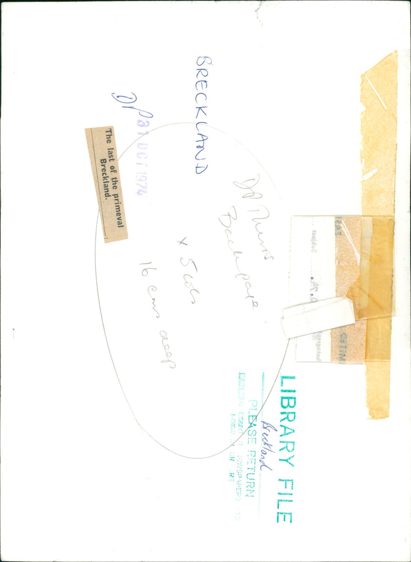 Bridgham's view of nature - Vintage Photograph